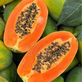 Papaya Super Red - Carica papaya, Carica papaya, fagyérzékeny, gyümölcs